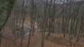 A small lake in the middle of the beech forest in the autumn season. Reflections in clear water at the end of the day Royalty Free Stock Photo