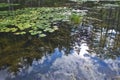 Small lake mirroring, Natural landscape in Epirus, Ioannina, Greece Royalty Free Stock Photo