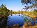 Small lake at Pietzmoor Royalty Free Stock Photo