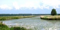 Small lake, plants and seagull, Lithuania