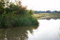 Small Lake reflection with grass shore area Royalty Free Stock Photo