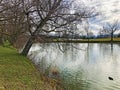 Small lake Schubelweiher or Schuebelweiher or Pond Schubelweiher, Kusnacht am Zurichsee Kuesnacht am Zuerichsee Royalty Free Stock Photo