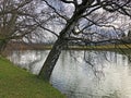 Small lake Schubelweiher or Schuebelweiher or Pond Schubelweiher, Kusnacht am Zurichsee Kuesnacht am Zuerichsee Royalty Free Stock Photo