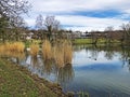 Small lake Schubelweiher or Schuebelweiher or Pond Schubelweiher, Kusnacht am Zurichsee Kuesnacht am Zuerichsee Royalty Free Stock Photo