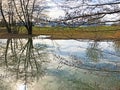 Small lake Schubelweiher or Schuebelweiher or Pond Schubelweiher, Kusnacht am Zurichsee Kuesnacht am Zuerichsee Royalty Free Stock Photo