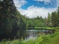 Small lake on a sunny day in Summer Royalty Free Stock Photo