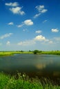 Small lake under a blue sky Royalty Free Stock Photo