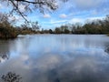 Small lake in The Wolseley Centre with trees bent towards it under a blue sky