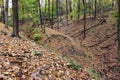 Small landslide and head scarp on a forested, leaf covered point at the confluence of 2 small streams