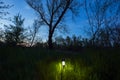 Small lantern on green forest glade at the twilight