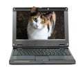 Small laptop with cat