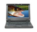 Small laptop with fishing themes