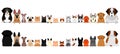 Small and large dogs and cats border set, upper body, front and back Royalty Free Stock Photo