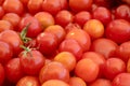 Small and large red cherry tomatoes on the background of nature. Italian products for pasta sauce Royalty Free Stock Photo