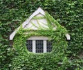 Window of old house covered in ivy