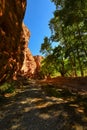 A small and leafy gorge in Salta