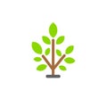 Small, leafy green seedling on the ground. Young tree or shrub. Vector flat color icon isolated on white.