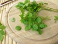 Small-leaved basil and lovage