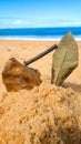 Small leaves, sticks and wood chips on the beach sand with the sea and the sky in the background. Royalty Free Stock Photo