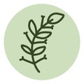 Small leaves with tiny branches, icon