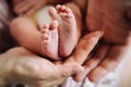 small legs of a newborn baby in the hands of parents. Royalty Free Stock Photo