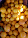 Small lemons in baskets at Market