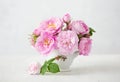 Small light pink bouquet of Roses in porcelain vase against of pale grey background. Shallow depth of field. Selective focus