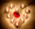 A small lighting lamps with red color aromatic paraffin in a small glasses arrange in heart form around the red rose symbol of lo