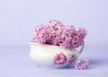 Small Lilac Bouquet on light violet background