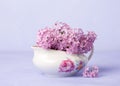 Small Lilac Bouquet on light violet background Royalty Free Stock Photo