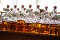 Small liquor production based on maple syrup. Multitude of pure alcohol bottles not labeled. Bottles placed in a row. Royalty Free Stock Photo