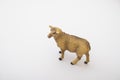 Small little lamb figurine isolated on Whitetoy plastic sheep on