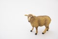 Small little lamb figurine isolated on Whitetoy plastic sheep on