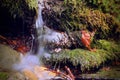 Small Little River Waterfall Streem and Mossy Stones Royalty Free Stock Photo