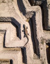 Lizard Sunbathing on Ancient Geometric Stone Carving Royalty Free Stock Photo