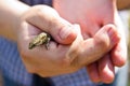 ÃÂ small lizard in his hands