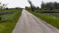 Small road on southern Oland, Sweden Royalty Free Stock Photo
