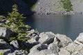 Small lonely tree in the rocks on the lake shore