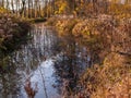 A large water reservoir. Lake. It`s a sunny day. A deciduous forest grows around the lake. It is autumn. The leaves are yellow. Th Royalty Free Stock Photo