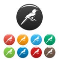 Small magpie icons set color Royalty Free Stock Photo