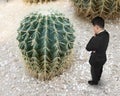 Small man looking at big cactus Royalty Free Stock Photo