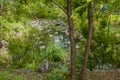 Small man made pond hidden by tree branches