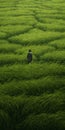 Endless Field Of Tall Grass: A Surreal Optical Illusion Painting Royalty Free Stock Photo