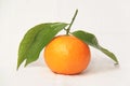 Small mandarin clementines