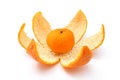 Small Mandarin Orange on Peel