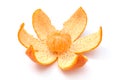 Small Mandarin Orange on Peel