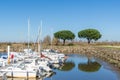 Arcachon Bay, France. The small marina of Le Teich near Arcachon