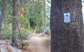 Donner Rim Trail marker
