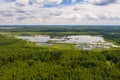 Small marshy lake and large forest on a summer day