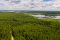 Small marshy lake and large forest on a summer day